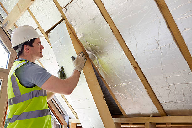 Best Attic Insulation Installation  in Valley View, OH